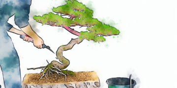 Guia Completo: Como Podar as Raízes de um Bonsai com Segurança e Eficiência 62375