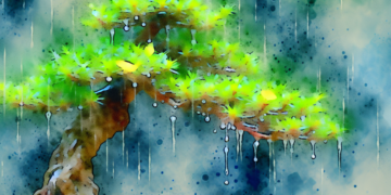 Como manter o seu bonsai saudável mesmo em ambientes úmidos 62426