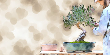 Como Cultivar um Bonsai de Oliveira: Guia Completo para Iniciantes 62442