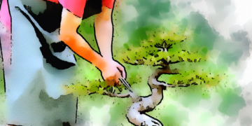 Como Modelar um Bonsai de Acer Palmatum: Guia Passo a Passo para Iniciantes 62449