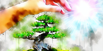 Como Escolher o Bonsai Perfeito para Presentear Alguém Especial 62468