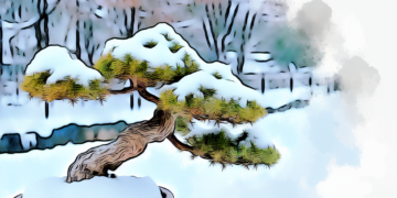 Cuidados com Bonsai no Inverno 63897