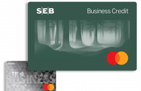 Kaip gauti SEB Bankas Mastercard Business kreditinę kortelę seb-bankas-mastercard-business-lt-p2-7